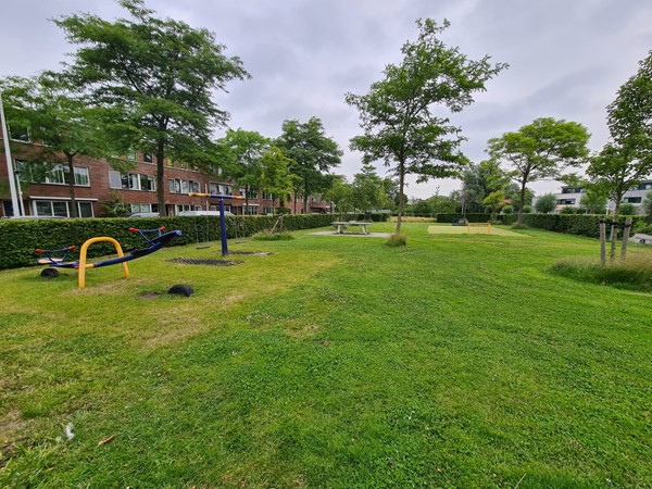 Park omgeving.jpg